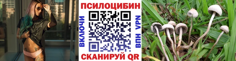 Купить где  Межгорье  Галлюциногенные грибы Psilocybine cubensis 